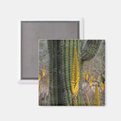 Aimant Gros Plan De Cactus Et D'Agave (Recto/Verso)