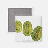 Aimant Gros plan de cinq tranches de kiwi (Recto/Verso)