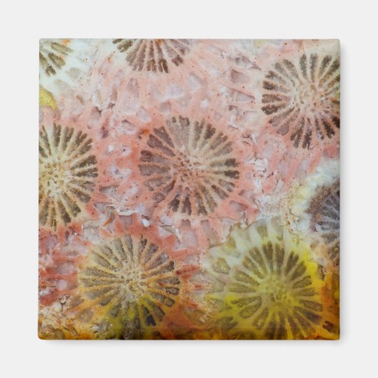 Aimant Gros plan de corail rose (Devant)