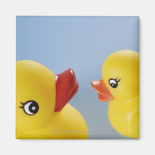 Aimant Gros plan de deux canards en caoutchouc (Devant)