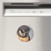 Aimant Gros plan de la Chouette Spectaculaire regardant e (In Situ (Lave-vaisselle))