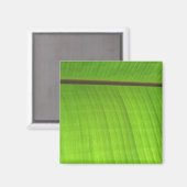 Aimant Gros plan de la feuille de banane (Recto/Verso)