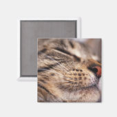 Aimant Gros plan de whiskys de chat et de muselières (Recto/Verso)