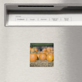 Aimant Gros plan des citrouilles (In Situ (Lave-vaisselle))