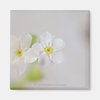 Aimant Gros plan des fleurs