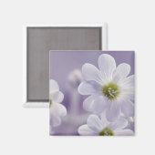 Aimant Gros plan des fleurs 2 (Recto/Verso)