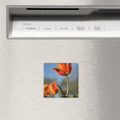 Aimant Gros plan des fleurs de tulipes (In Situ (Lave-vaisselle))
