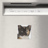 Aimant Gros plan du chaton (In Situ (Lave-vaisselle))