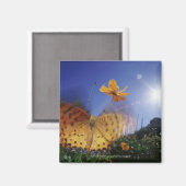 Aimant Gros plan du papillon, ailes battant (Recto/Verso)