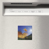 Aimant Gros plan du papillon, ailes battant (In Situ (Lave-vaisselle))