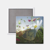 Aimant Gros plan du papillon sur la fleur (Recto/Verso)