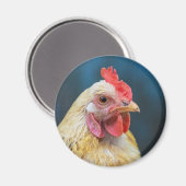 Aimant Gros plan du poulet (Recto/Verso)