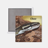 Aimant Gros plan d'un serpent Python normal (Recto/Verso)