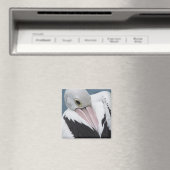 Aimant Gros plan pélican australien (In Situ (Lave-vaisselle))