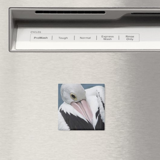 Aimant Gros plan pélican australien (In Situ (Lave-vaisselle))