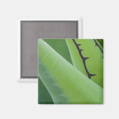Aimant Gros plan sur l'Agave (Recto/Verso)