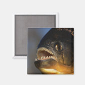 Aimant Gros plan sur Piranha (Recto/Verso)