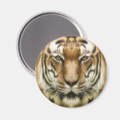 aimant Gros Plan Tigre (Recto/Verso)