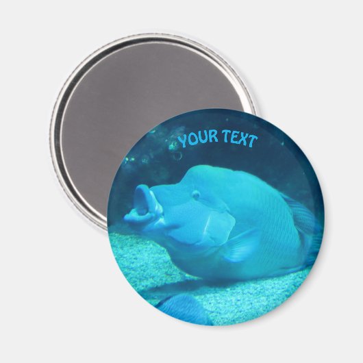 Aimant Gros poisson bleu (Recto/Verso)