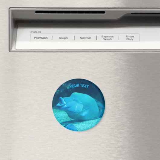 Aimant Gros poisson bleu (In Situ (Lave-vaisselle))