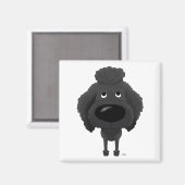 Aimant Grosse caniche à nez (Recto/Verso)