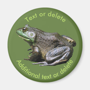 Aimant Grosse Vieille Grenouille Taureau Nature Personnal