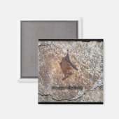 Aimant grotte de chauve-souris (Recto/Verso)