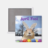 Aimant Groundhog April Fool Day (Recto/Verso)