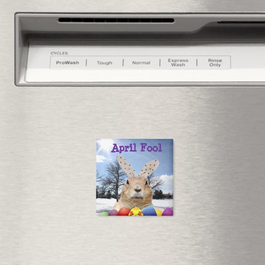 Aimant Groundhog April Fool Day (In Situ (Lave-vaisselle))