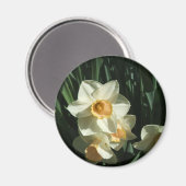 Aimant groupe1 054 Narcisse (Recto/Verso)