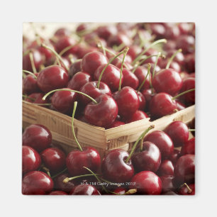 Aimant Groupe de cerises dans le punnett