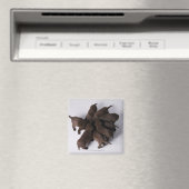 Aimant Groupe de chiots avec têtes ensemble (In Situ (Lave-vaisselle))