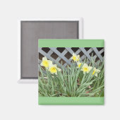Aimant Groupe de Daffodiles (Recto/Verso)