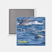 Aimant Groupe de dauphins de goulot - Oman (Recto/Verso)