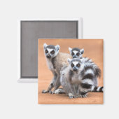 Aimant Groupe de lémuriens à cordon (Recto/Verso)