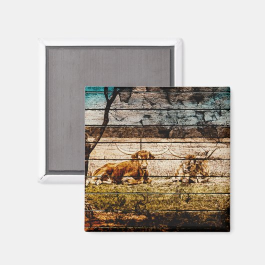 Aimant Groupe de Longhorns assis en terrain Distressed Wo (Recto/Verso)