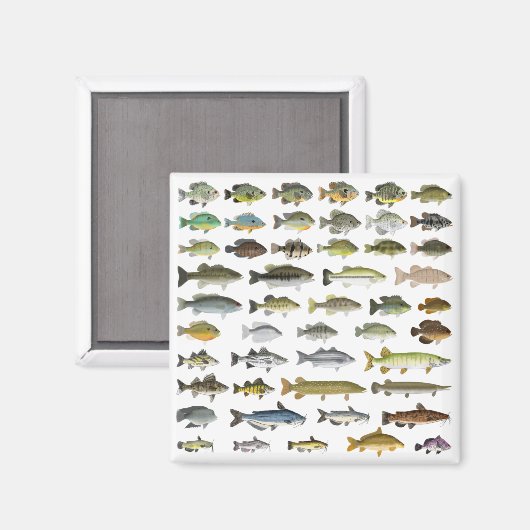 Aimant Groupe nord-américain du poisson d'eau douce (Recto/Verso)