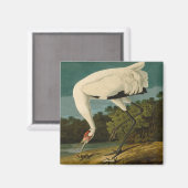Aimant Grue blanche Audubon Peinture d'oiseaux (Recto/Verso)