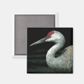 Aimant Grue de sable - "Grassland Grace" (Recto/Verso)