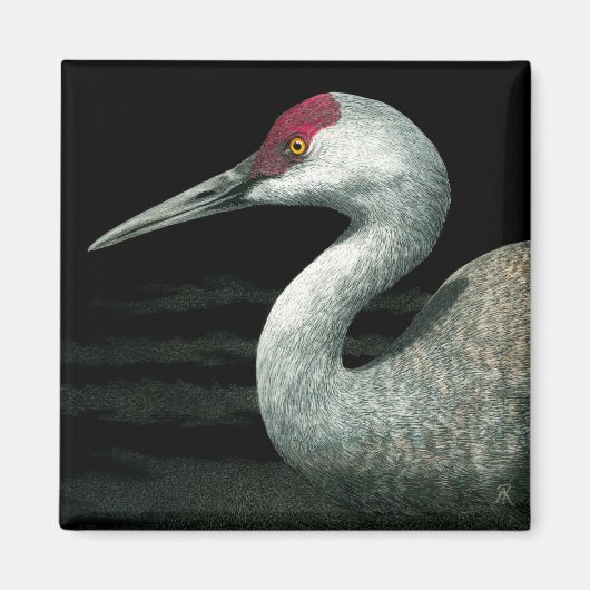 Aimant Grue de sable - "Grassland Grace" (Devant)