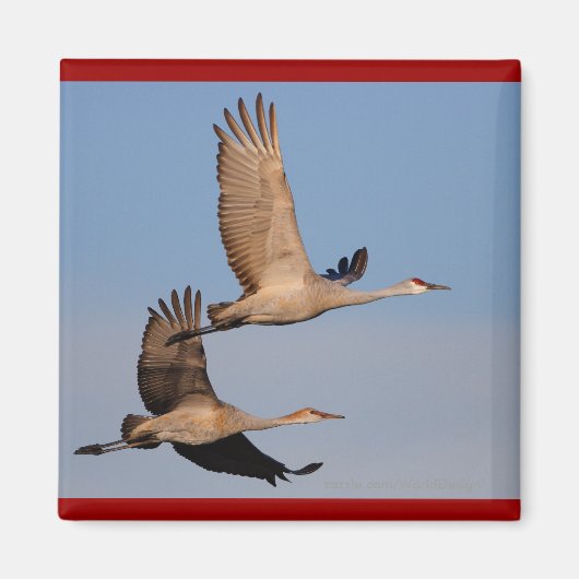 Aimant Grues (Devant)