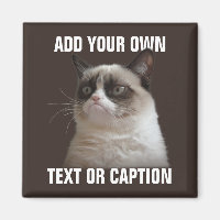 Grumpy Cat - Ajouter votre propre texte