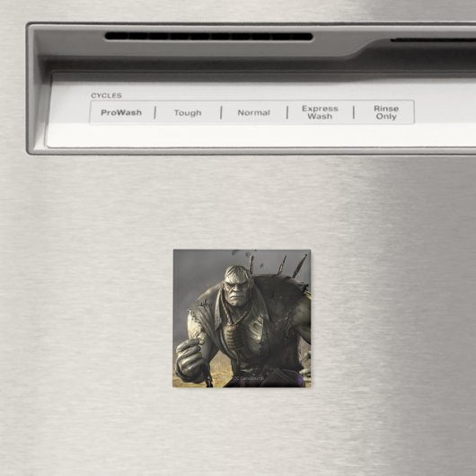 Aimant Grundy (In Situ (Lave-vaisselle))