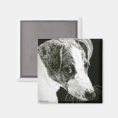 Aimant Gryhound - "Paddy" (Recto/Verso)