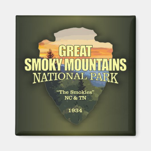 Aimant GSMNP (flèche) (Devant)