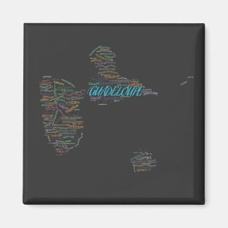 AIMANT GUADELOUPE