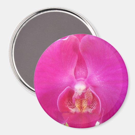 Aimant Guda (Recto/Verso)