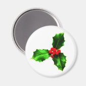 Aimant Gui (Recto/Verso)