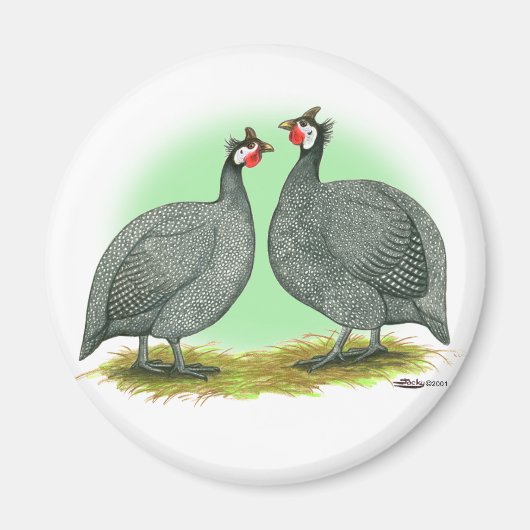 Aimant Guineas : Français (Devant)