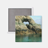 Aimant Gull Island, Alaska (Recto/Verso)